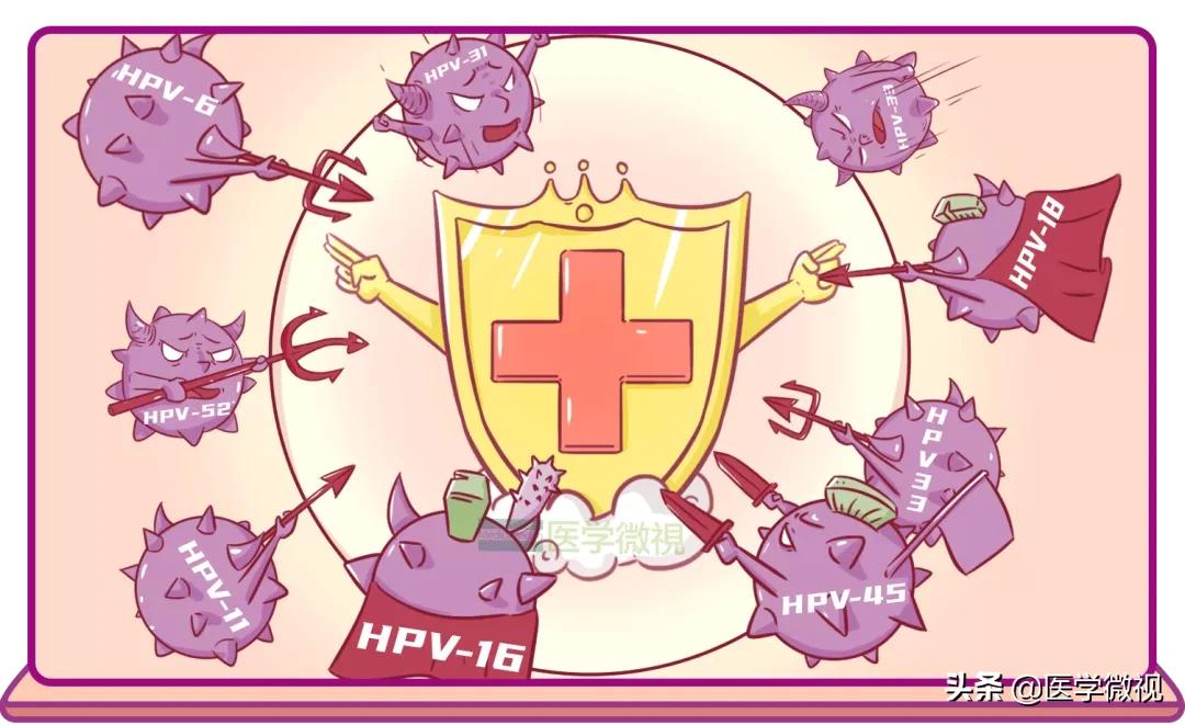hpv疫苗二价四价九价区别 三种人不建议打九价