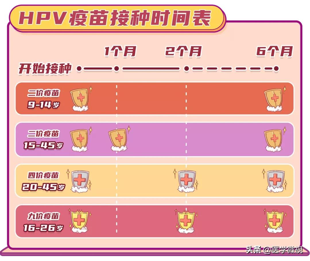 hpv疫苗二价四价九价区别 三种人不建议打九价