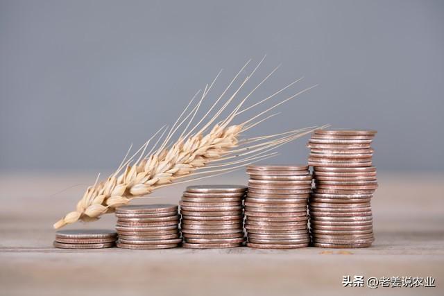 小麦价格开始启稳，这波反弹已经到头了，2023年4月18日小麦行情
