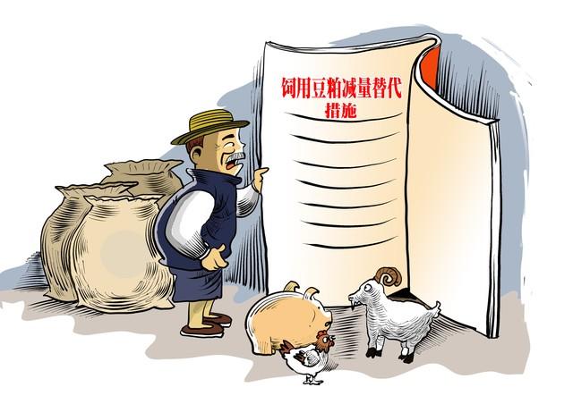 进口大豆海关抽检加强 豆粕价格持续上涨：今年养猪不易