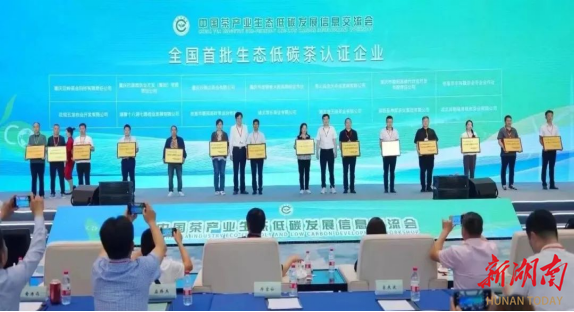 在第五届中国国际茶叶博览会上，吉首市湘西黄金茶斩获多项荣誉