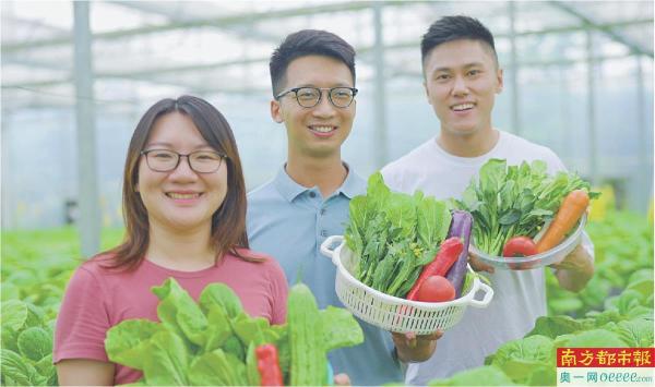 广东天菜农业有限公司：香港青年逐梦江门，潜心研发鱼菜共生