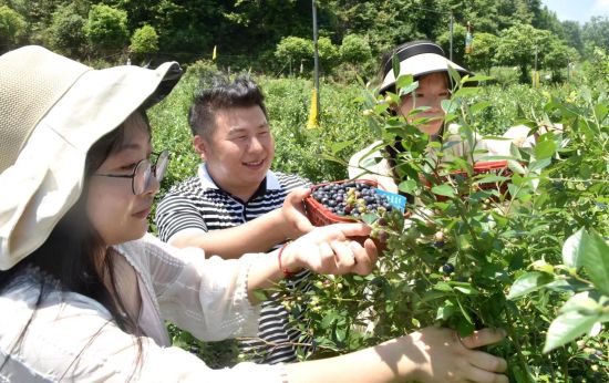 江西乐平：特色种植 致富“惠农”