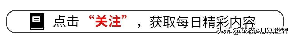 恒大救星诞生，“华佗”再现！许家印有望翻盘，白珊珊华丽转身!