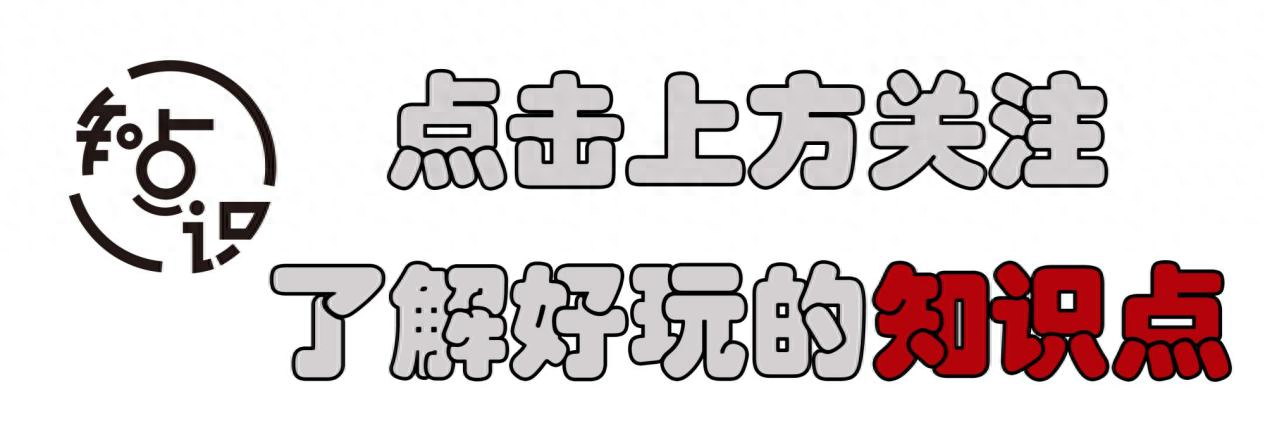 又一座“空城”诞生，房价跌至低价，本地人却选择“逃离”