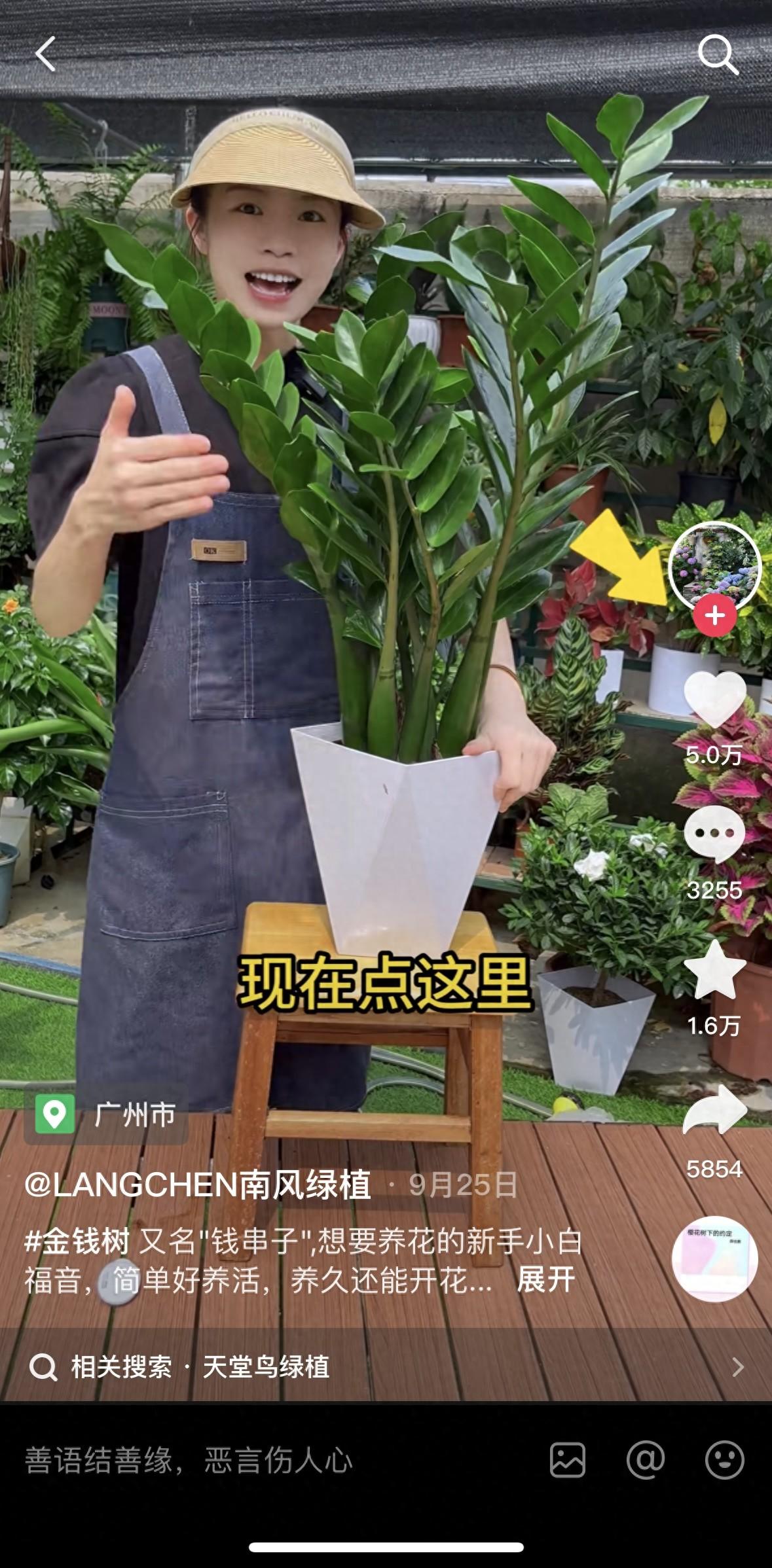 广州市95后情侣创业半年成鲜花绿植行业top1，他们到底做对了什么