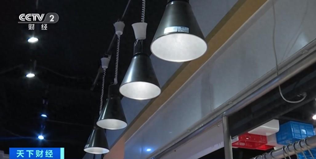 “生鲜灯”禁令下月实施，违者将面临罚款！广东广州多集市灯具更新