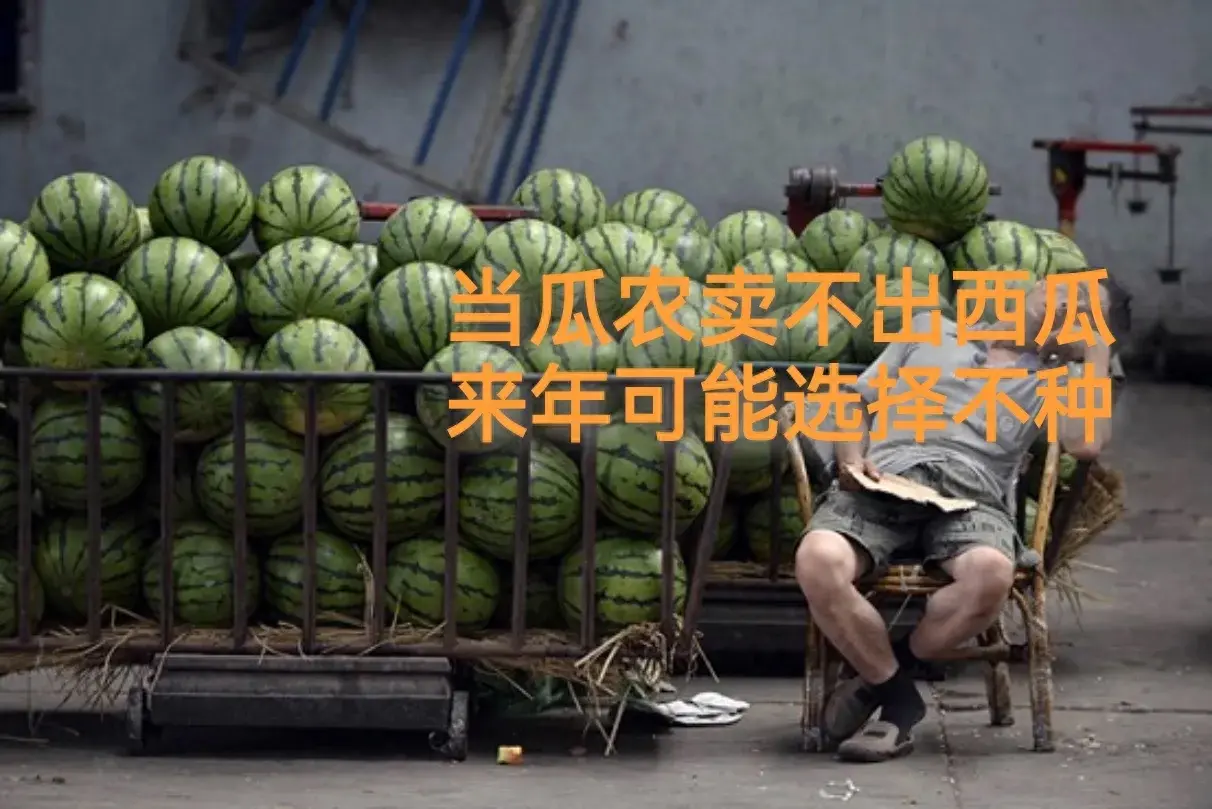 通缩是什么：“当瓜农卖不出西瓜的时候，来年可能不再种植”。