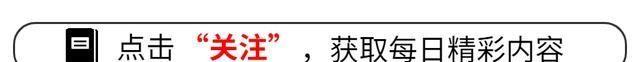 李佳琦事件大反转！京东与海氏录音曝光…