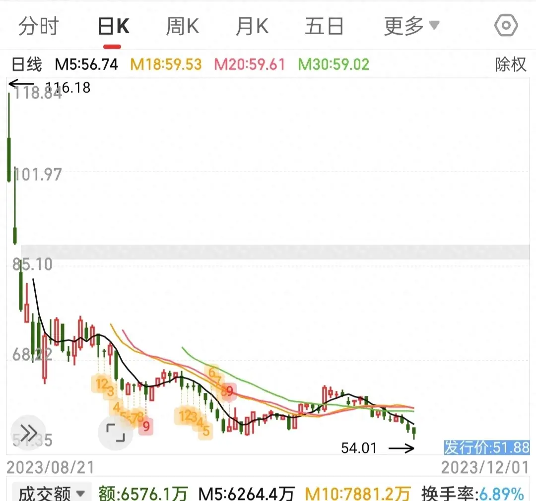 新股上市4个月，一路下跌，从116元跌到55元，里面散户该怎么办？