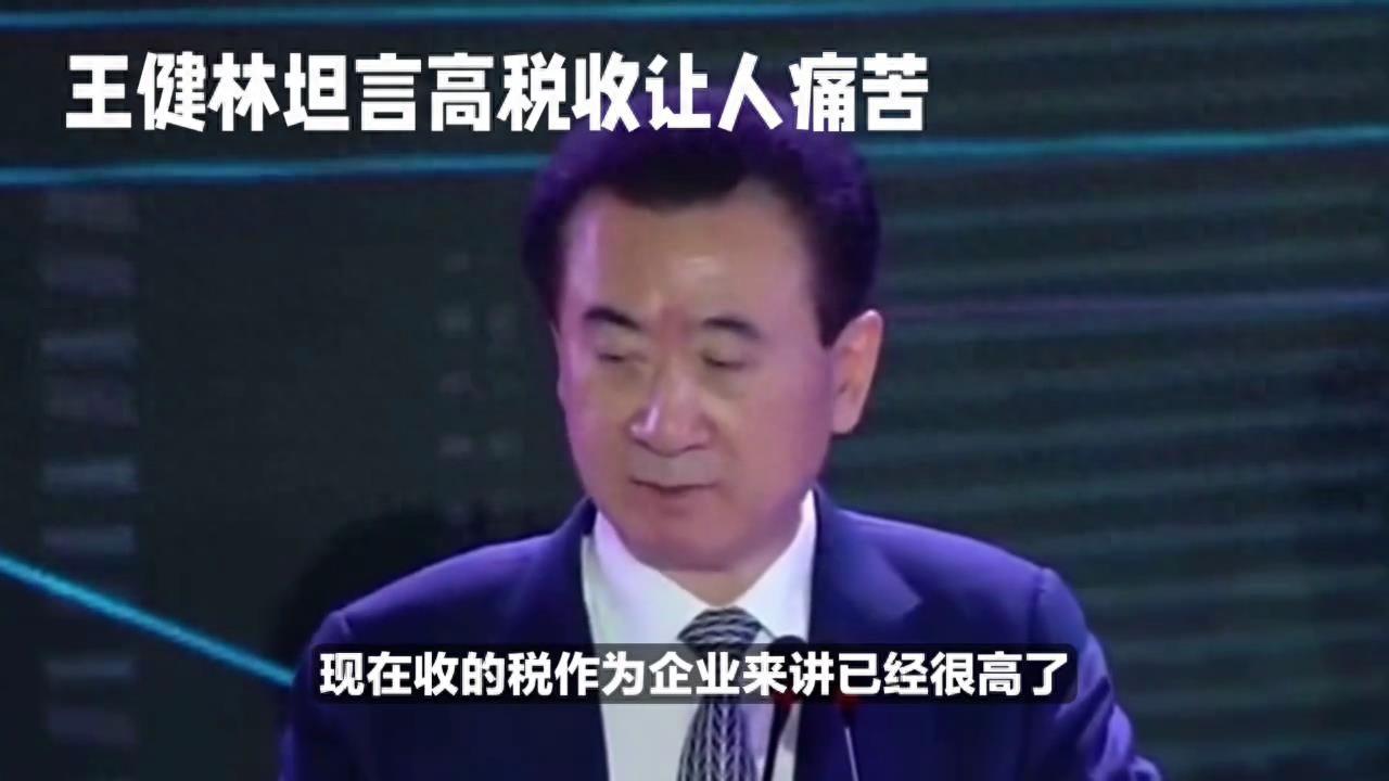 王健林：企业的税收负担太重，每年利润不够交税，评论区一致认同