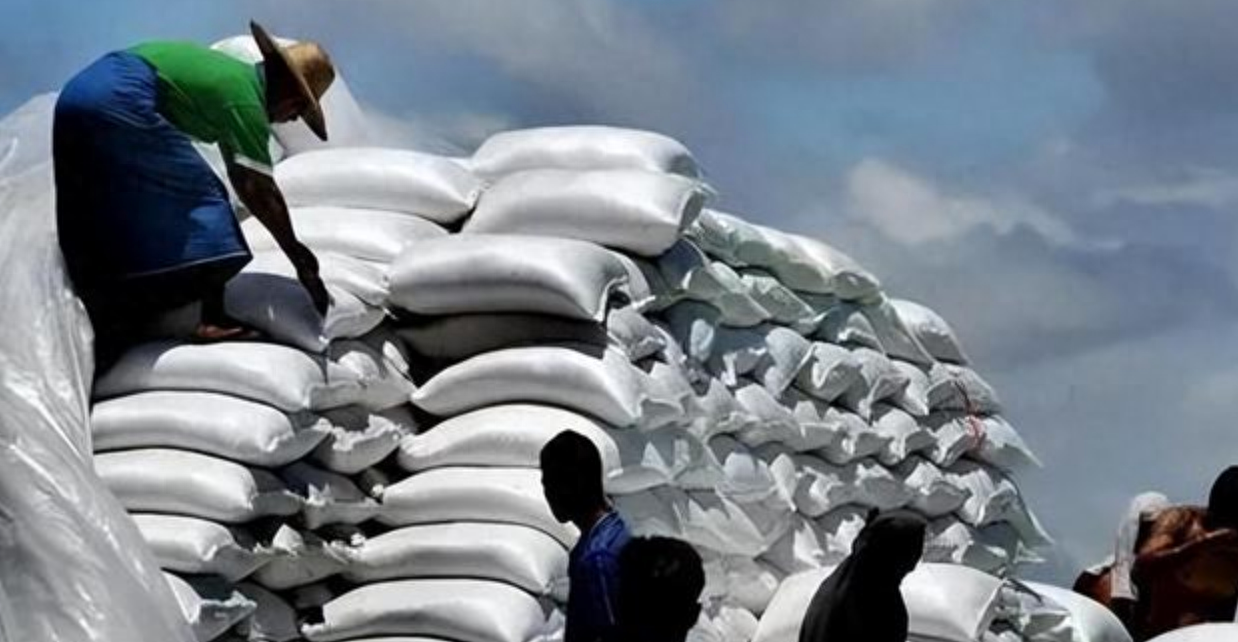中印大米产量比拼：印度年产大米1.2亿吨，中国是多少？