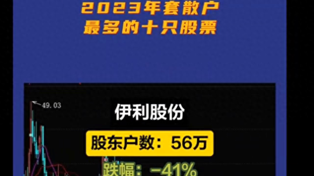 悲剧：2023年散户被套数最多的十大白马股