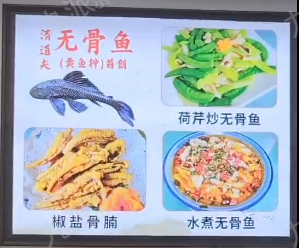 广东顺德一餐厅将清道夫鱼设为特色菜，店主：食品安全过关，每天都不够卖