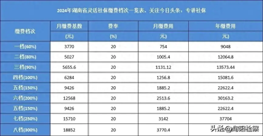 2024社保缴费档次表