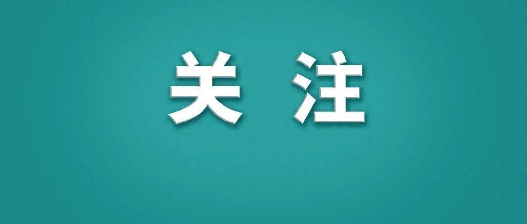 平均降价超40%！